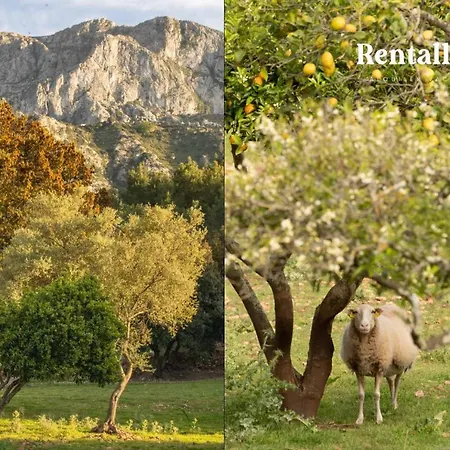 Finca Can Guillem Bet Pollenca